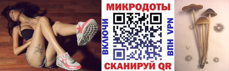 Галлюциногенные грибы MAGIC MUSHROOMS  kraken зеркало  Красавино 